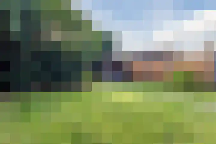 Gemondseweg 4 Sint-Michielsgestel thumbnail 48