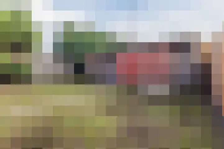 Gemondseweg 4 Sint-Michielsgestel thumbnail 52