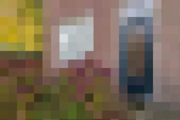 Gemondseweg 4 Sint-Michielsgestel thumbnail 7