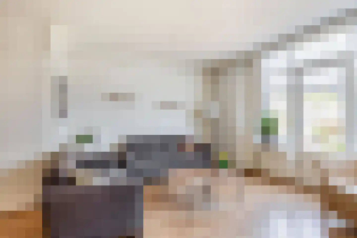 Gemshoorn 38 Rotterdam thumbnail 10
