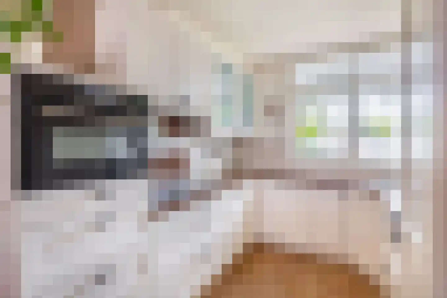Gemshoorn 38 Rotterdam thumbnail 14