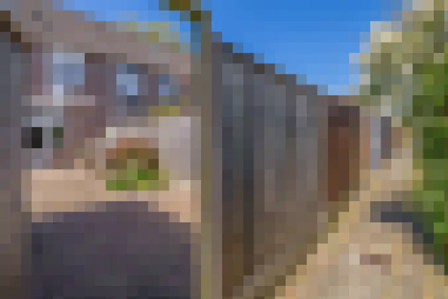 Gemshoorn 38 Rotterdam thumbnail 19