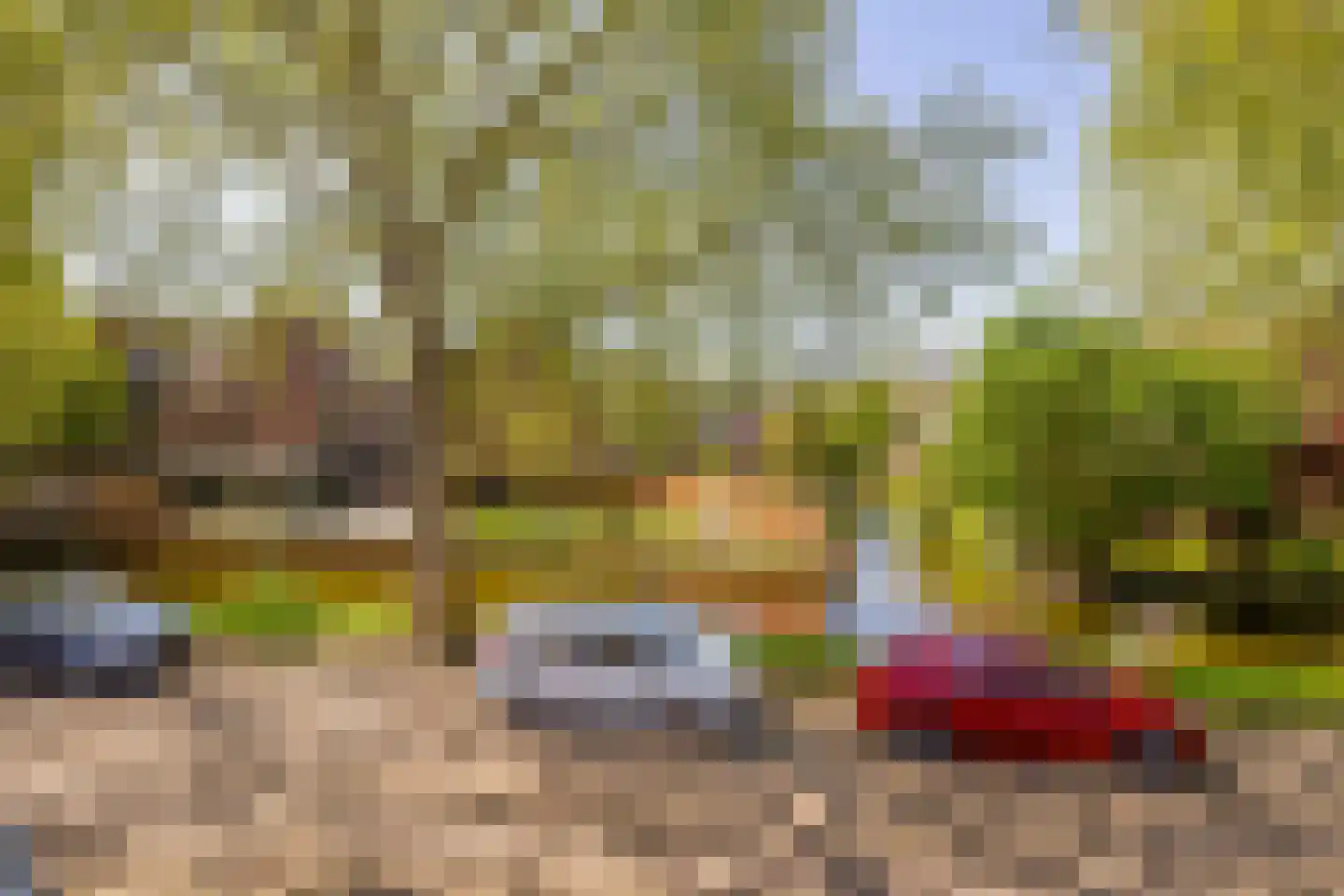Gemshoorn 38 Rotterdam thumbnail 40