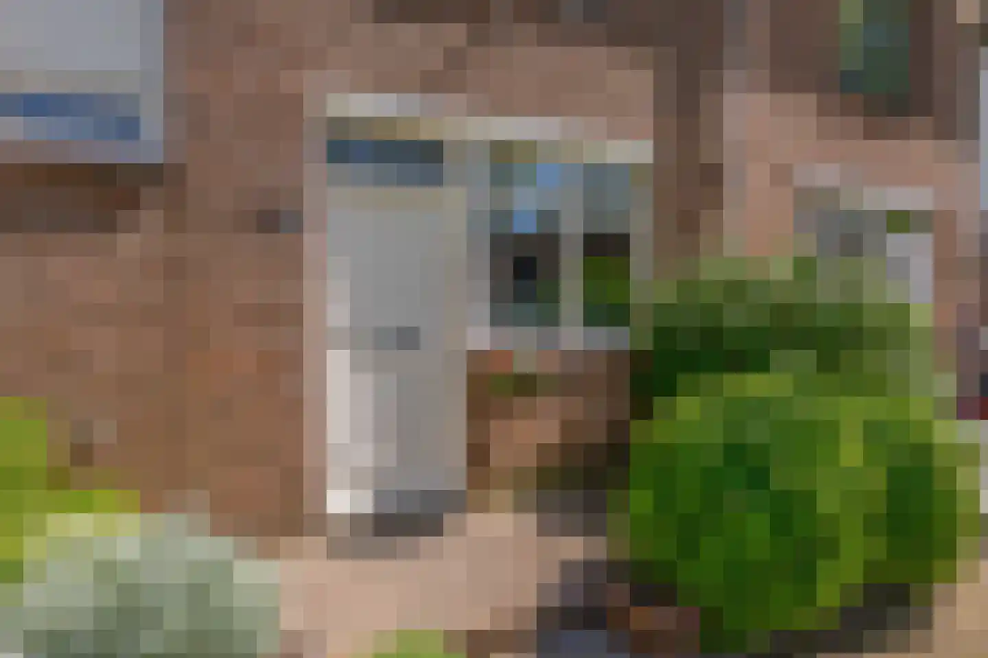 Gemshoorn 38 Rotterdam thumbnail 5