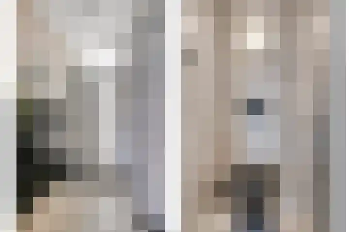 Gemshoorn 4 Rotterdam thumbnail 12