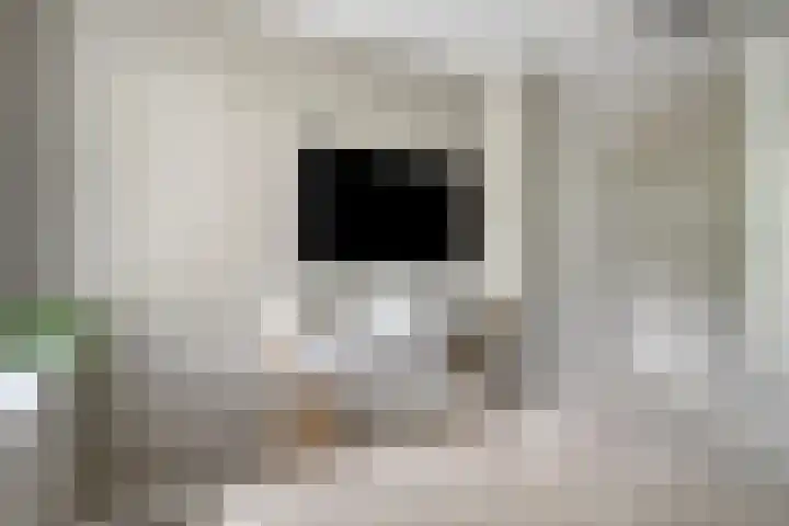 Gemshoorn 4 Rotterdam thumbnail 14