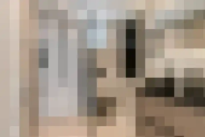 Gemshoorn 4 Rotterdam thumbnail 15