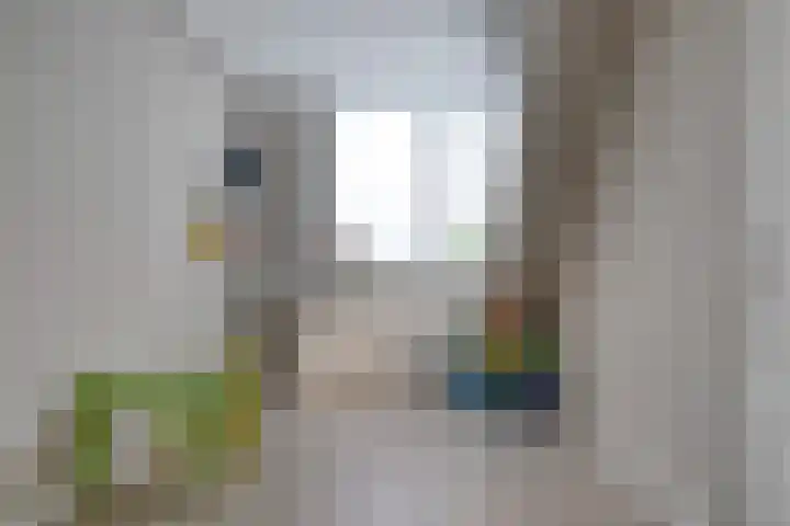 Gemshoorn 4 Rotterdam thumbnail 18