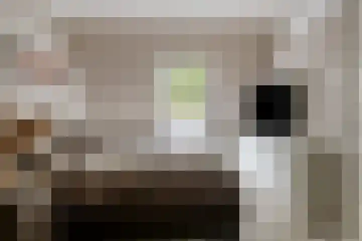 Gemshoorn 4 Rotterdam thumbnail 23