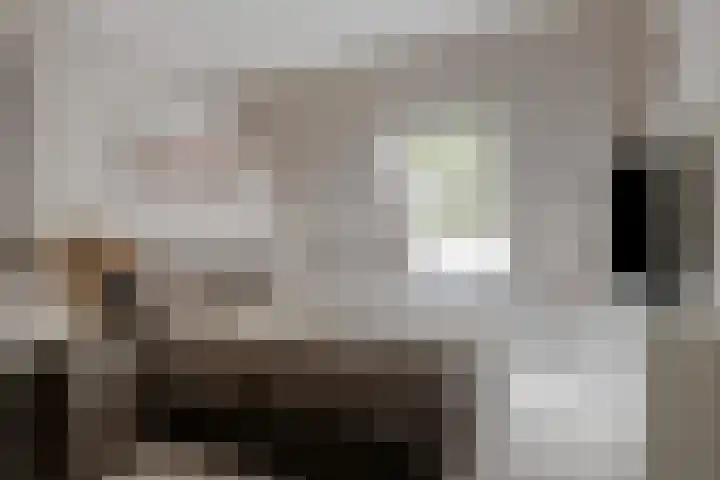 Gemshoorn 4 Rotterdam thumbnail 25