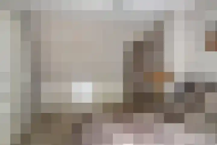 Gemshoorn 4 Rotterdam thumbnail 26