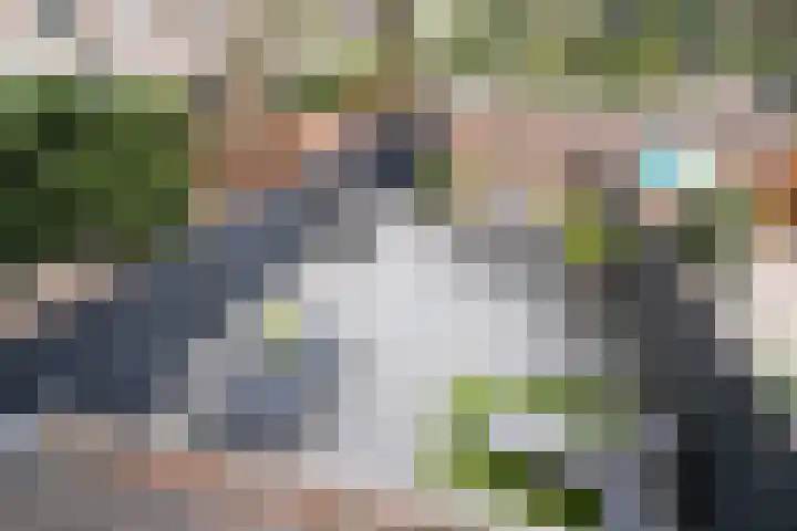 Gemshoorn 4 Rotterdam thumbnail 27