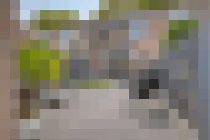 Gemshoorn 4 Rotterdam thumbnail 28