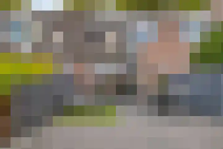 Gemshoorn 4 Rotterdam thumbnail 30