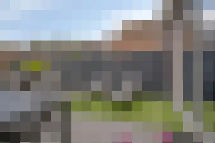 Gemshoorn 4 Rotterdam thumbnail 32