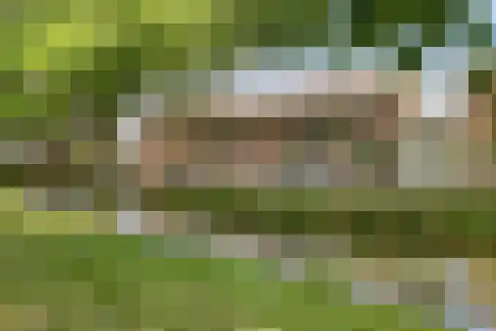 Gemshoorn 4 Rotterdam thumbnail 37