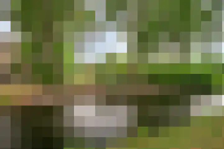 Gemshoorn 4 Rotterdam thumbnail 38
