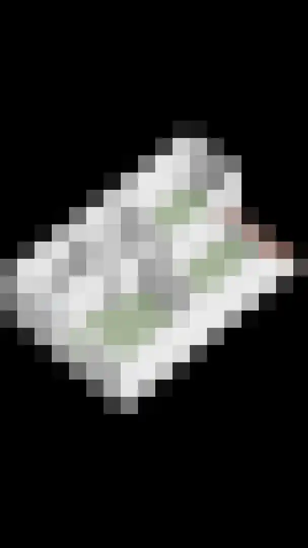 Gemshoorn 4 Rotterdam thumbnail 42