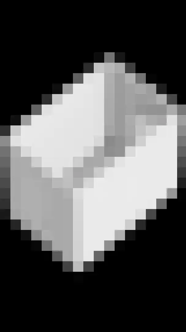 Gemshoorn 4 Rotterdam thumbnail 46