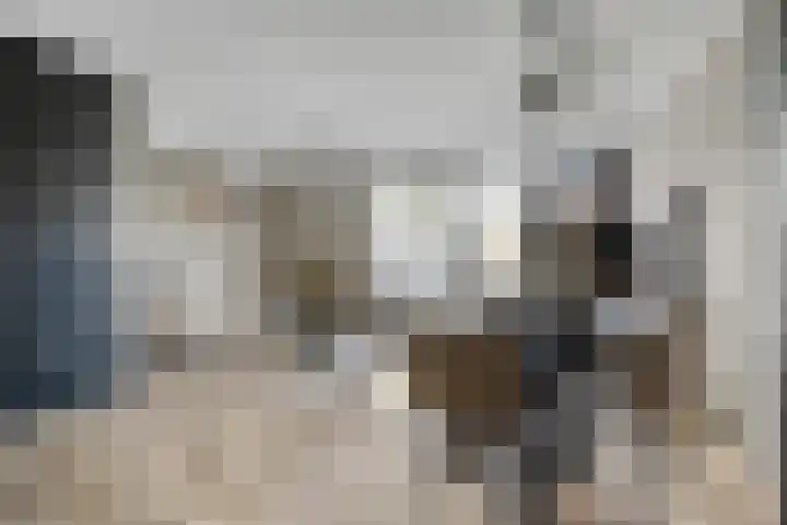 Gemshoorn 4 Rotterdam thumbnail 5