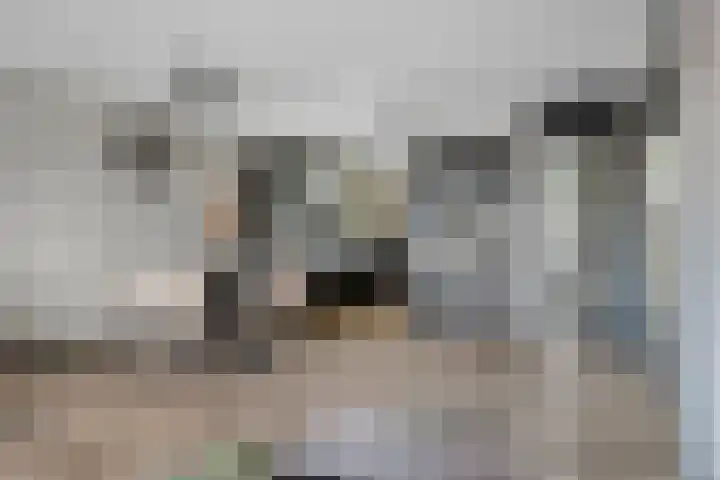 Gemshoorn 4 Rotterdam thumbnail 6