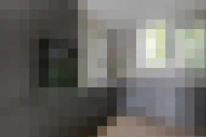 Gemshoorn 4 Rotterdam thumbnail 8