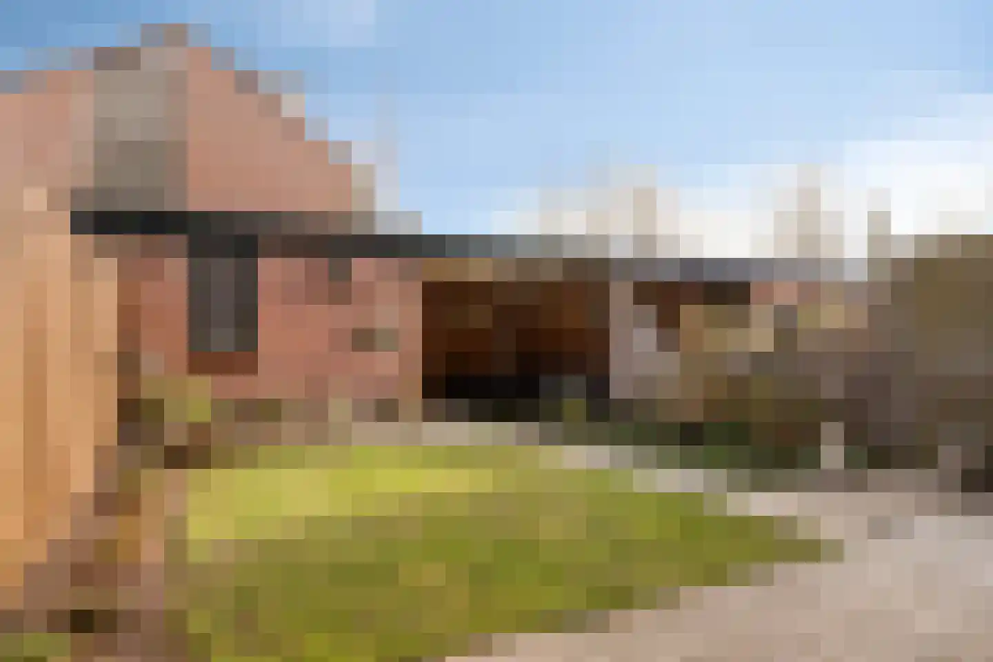 Gemshoorn 58 Soest thumbnail 31