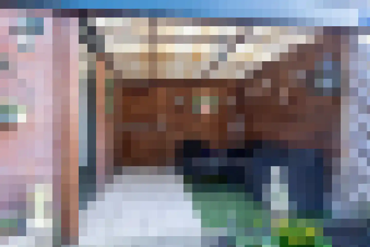 Gemshoorn 58 Soest thumbnail 32