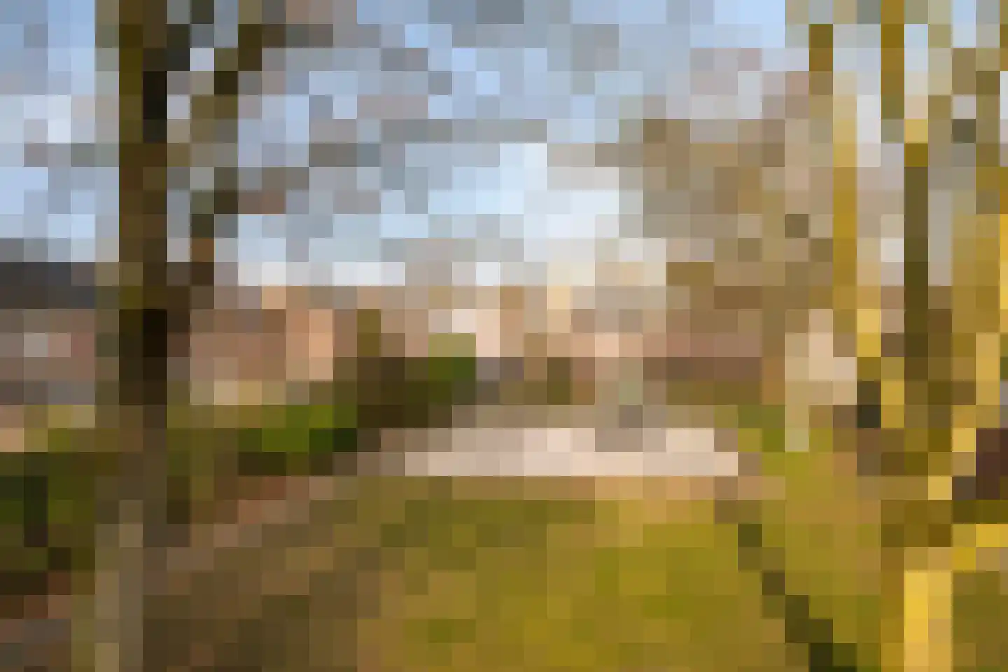 Gemshoorn 58 Soest thumbnail 37