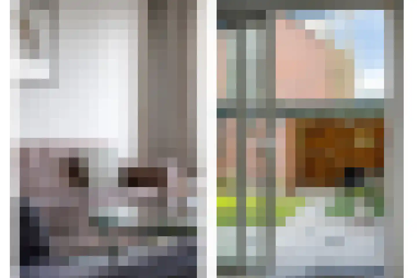 Gemshoorn 58 Soest thumbnail 6