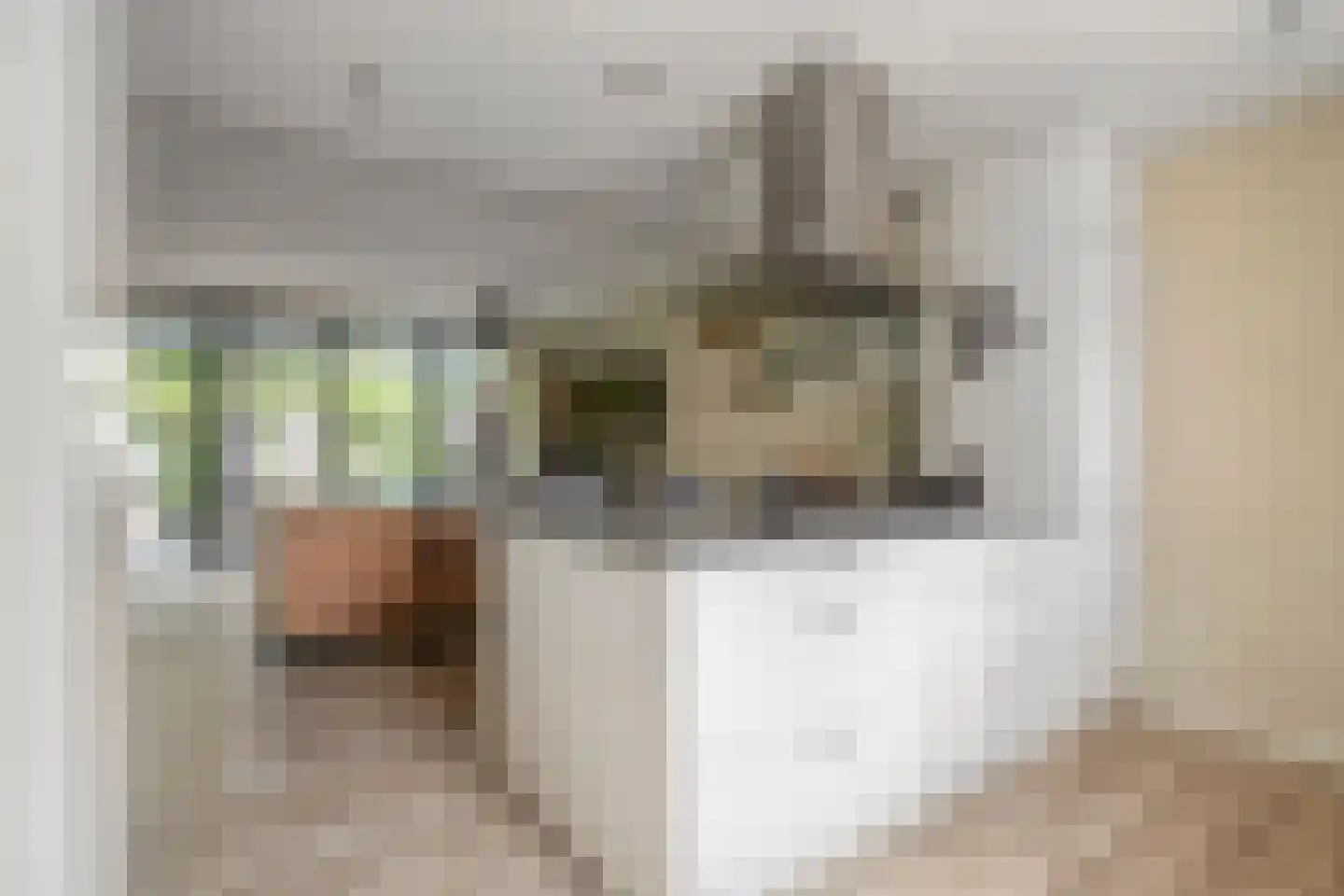 Gemshoorn 7 Soest thumbnail 10