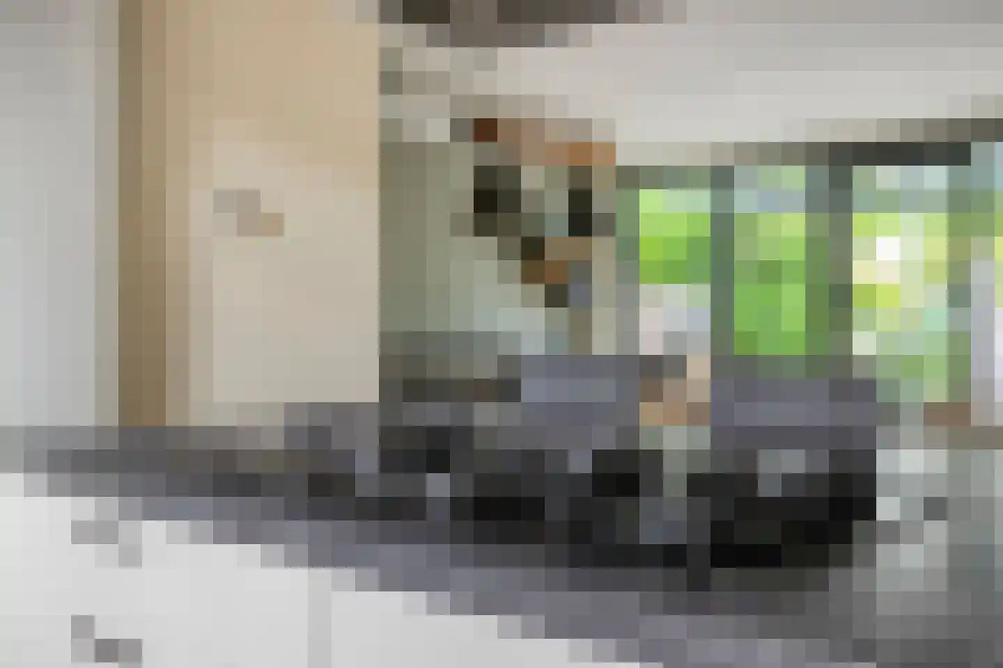 Gemshoorn 7 Soest thumbnail 13