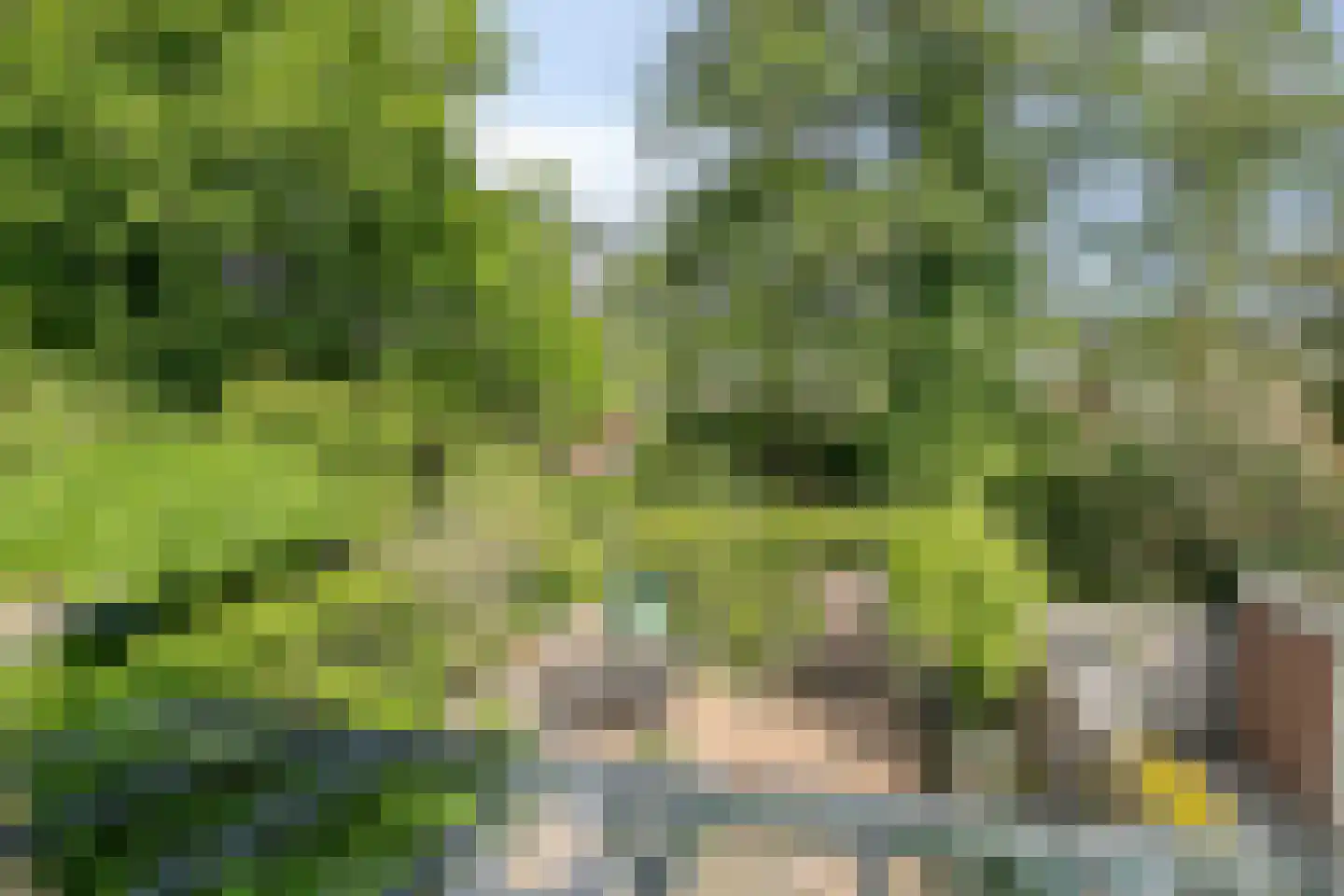 Gemshoorn 7 Soest thumbnail 20