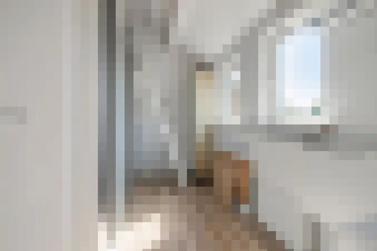 Gemshoorn 7 Soest thumbnail 31