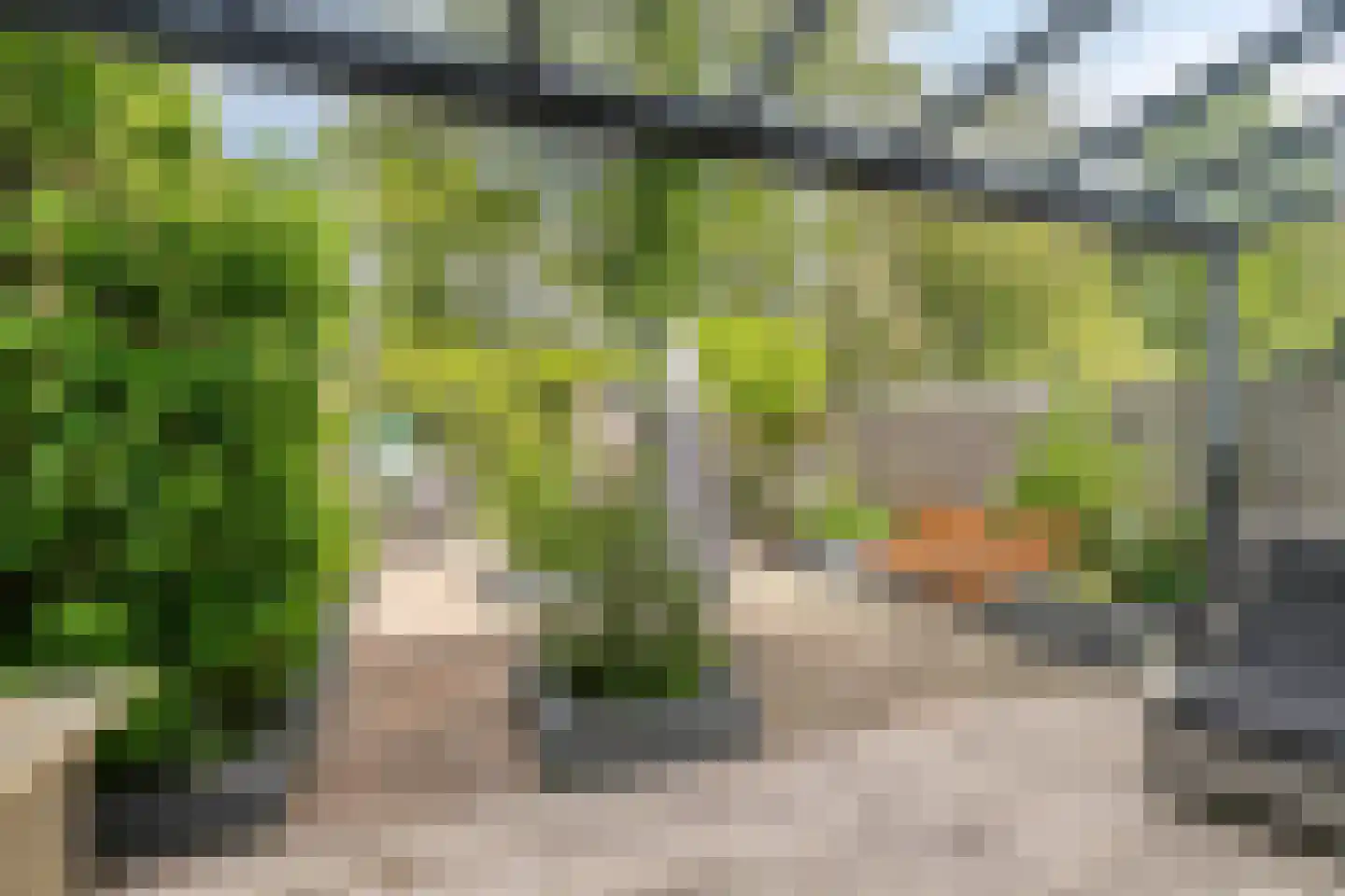 Gemshoorn 7 Soest thumbnail 34