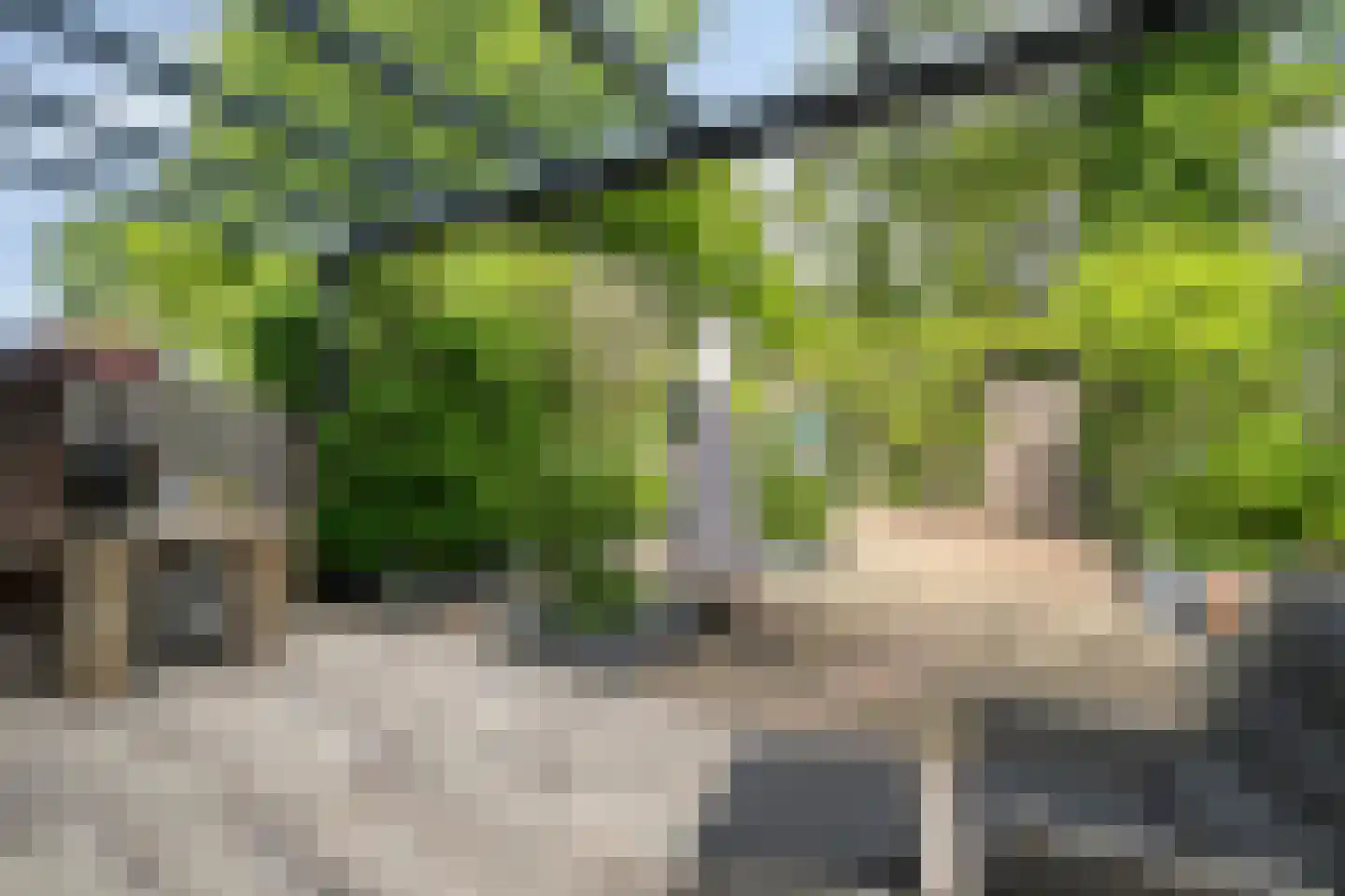 Gemshoorn 7 Soest thumbnail 35