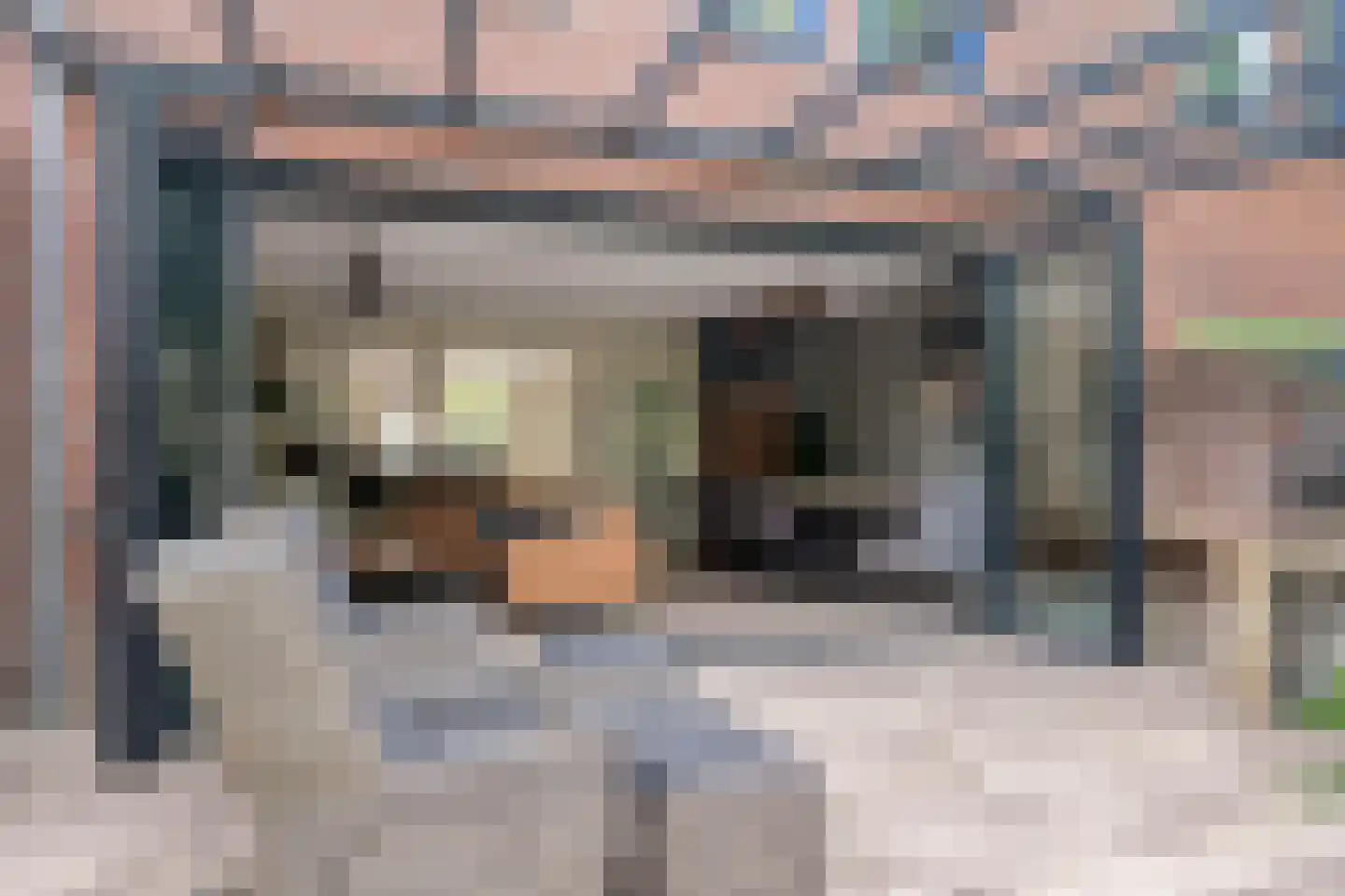 Gemshoorn 7 Soest thumbnail 36