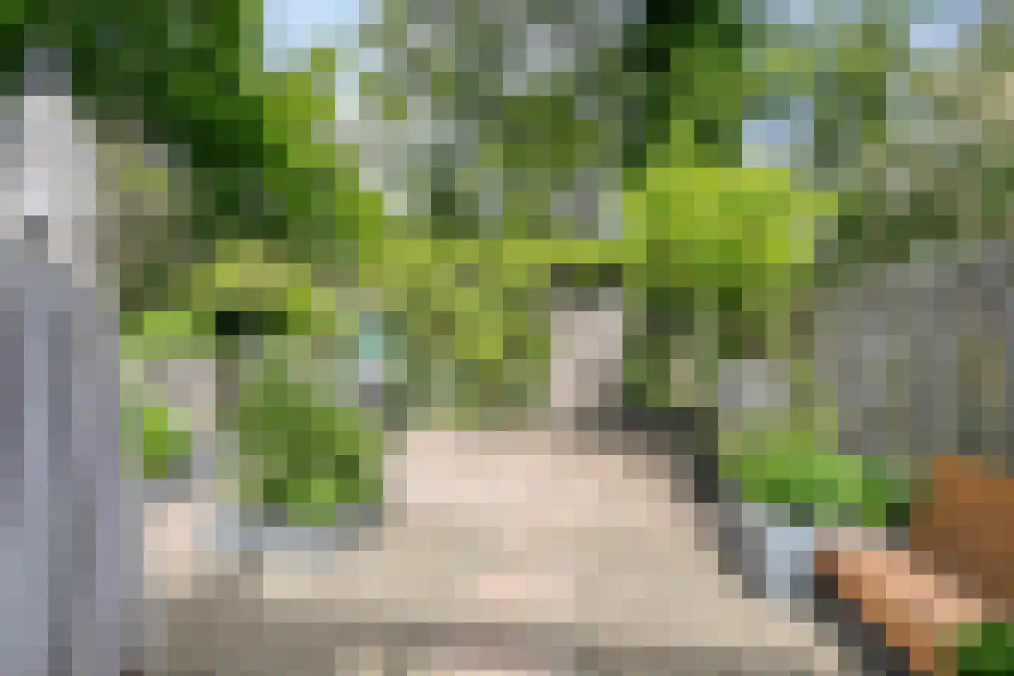 Gemshoorn 7 Soest thumbnail 37