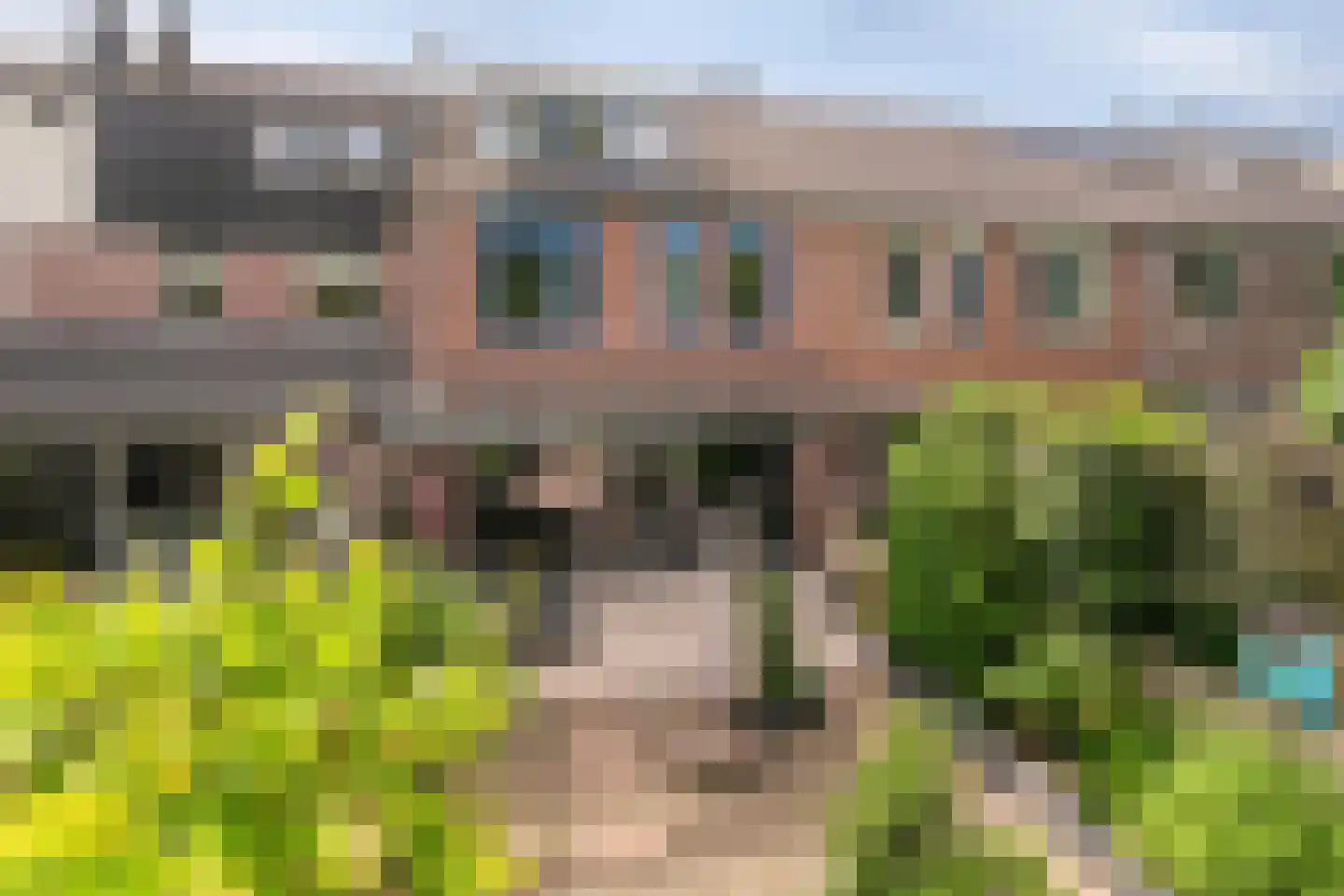 Gemshoorn 7 Soest thumbnail 38