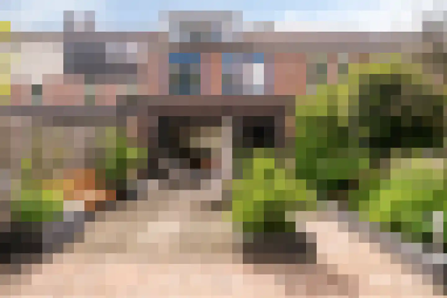 Gemshoorn 7 Soest thumbnail 39