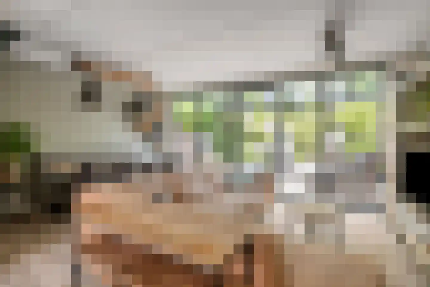 Gemshoorn 7 Soest thumbnail 4