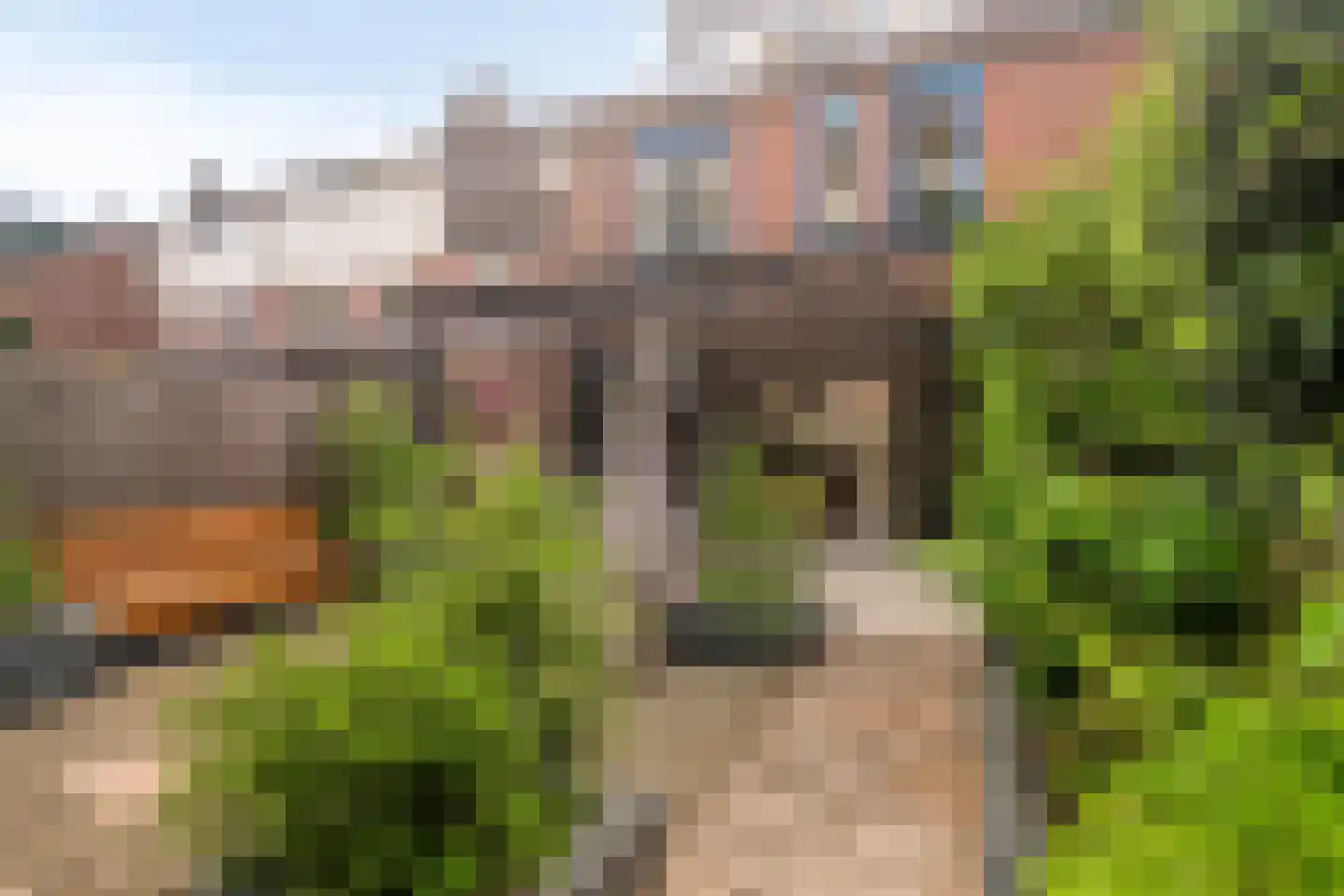 Gemshoorn 7 Soest thumbnail 40
