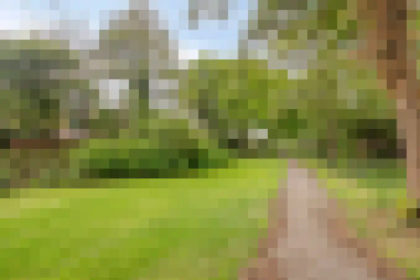 Gemshoorn 7 Soest thumbnail 45