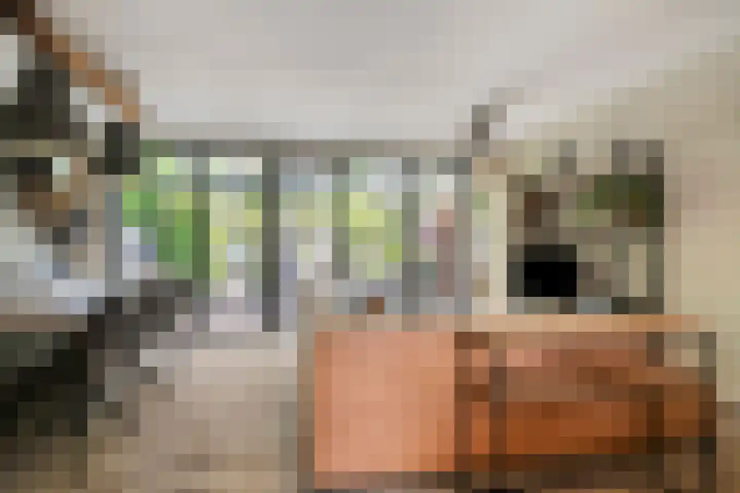 Gemshoorn 7 Soest thumbnail 6