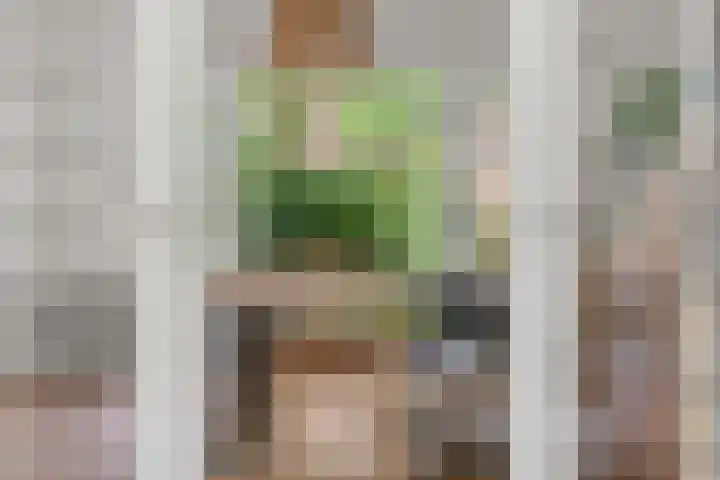 Gemsstraat 5 Nijmegen thumbnail 13