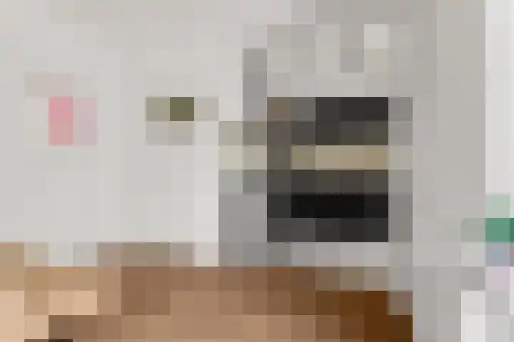 Gemsstraat 5 Nijmegen thumbnail 17
