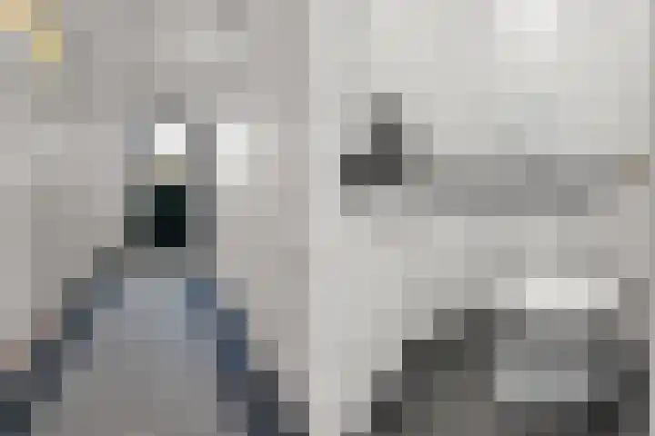 Gemsstraat 5 Nijmegen thumbnail 23