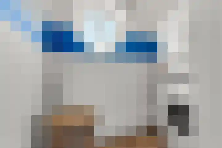 Gemsstraat 5 Nijmegen thumbnail 31