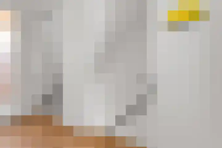 Gemsstraat 5 Nijmegen thumbnail 35