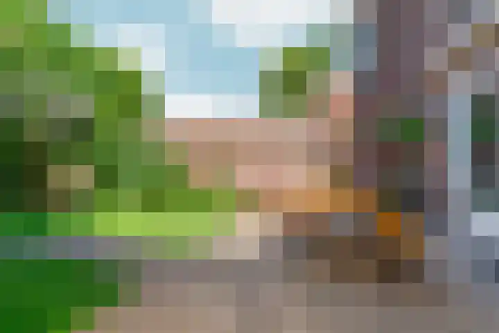 Gemsstraat 5 Nijmegen thumbnail 45